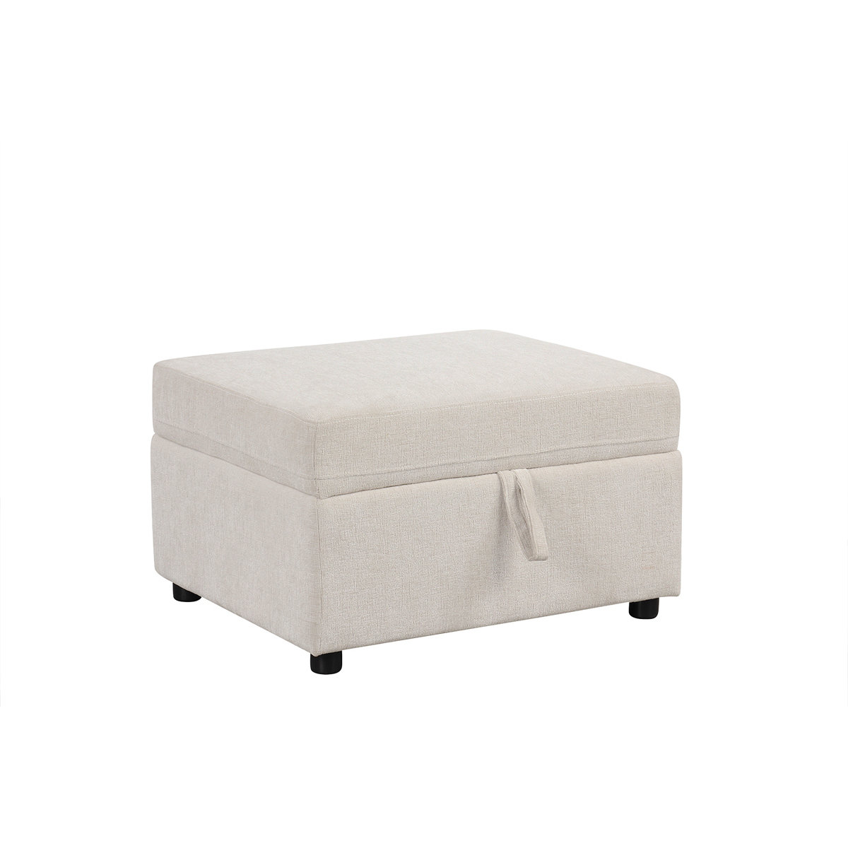 Latitude Run® 26.6" Ottoman Movable Storage Ottoman Footrest For Living ...